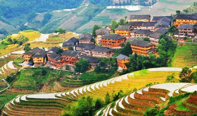 Longsheng — Rizieres en terrasses, Vol vers Shanghai - Photo 2